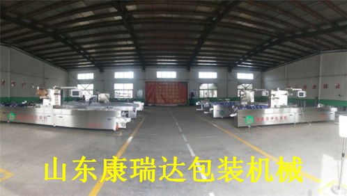 山東康瑞達(dá)香脆腸全自動包裝機(jī)價(jià)格解析